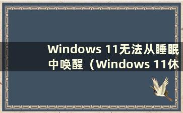 Windows 11无法从睡眠中唤醒（Windows 11休眠）